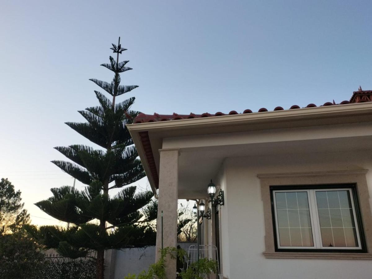 ホテル Casa Dos Gnomos Alvorninha エクステリア 写真